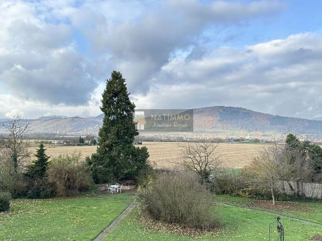 Appartement vente à Sélestat-Erstein, Sélestat