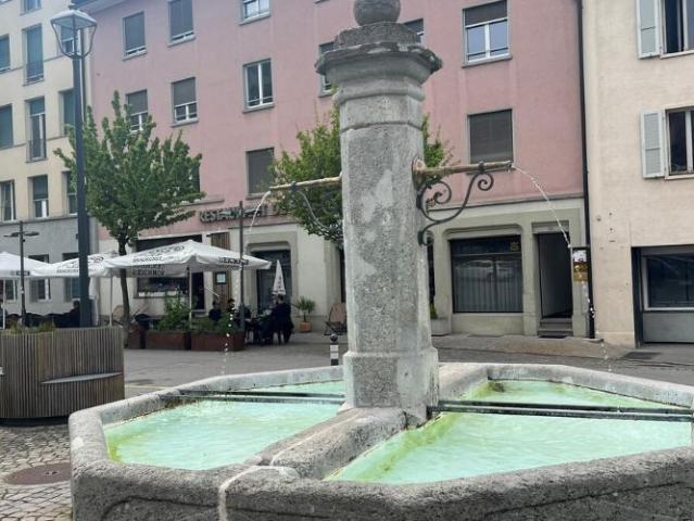 Apartment mieten in Chavannes-sous-Romont, Romont