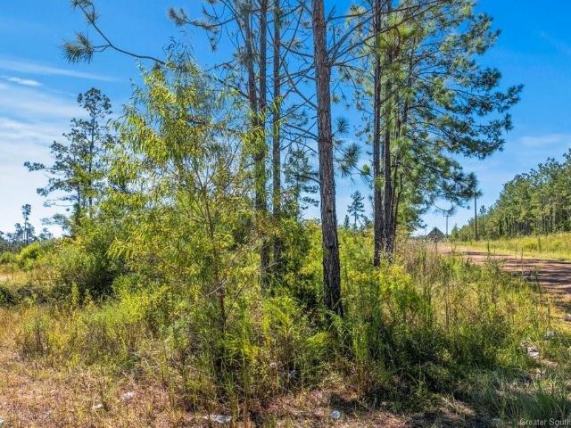 Land for sale in Dequincy, Louisiana