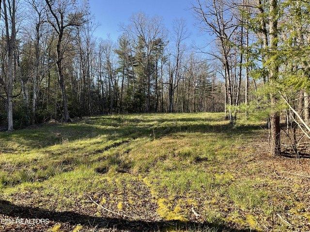 Land for sale in Monterey, Middle Tennessee