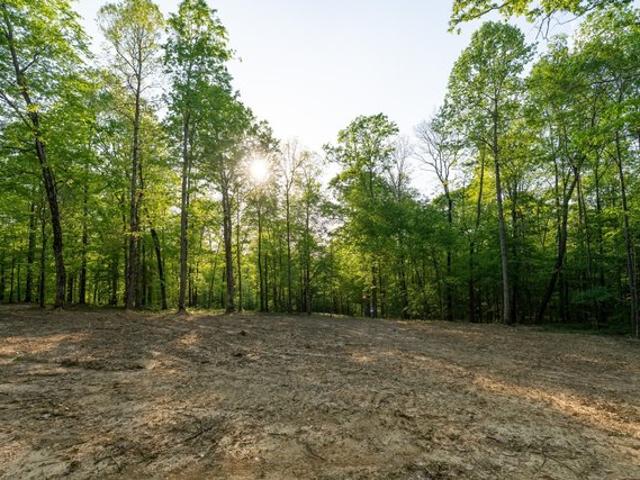 Land for sale in Tennessee