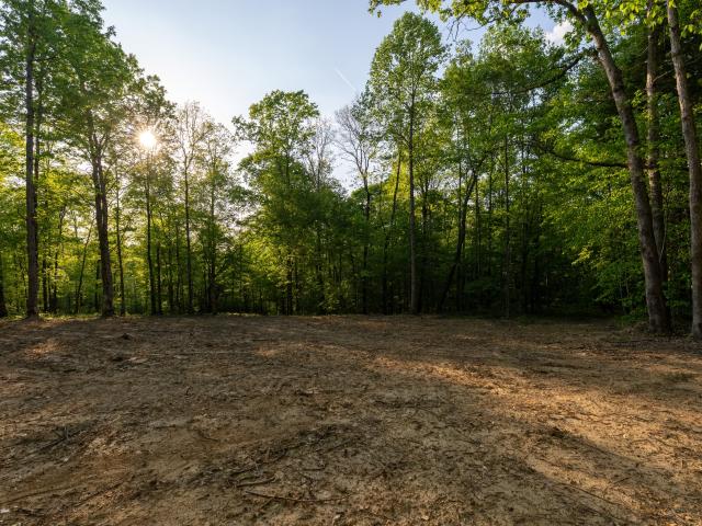Land for sale in Tennessee