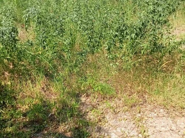 Property for sale in Kachia, Kaduna