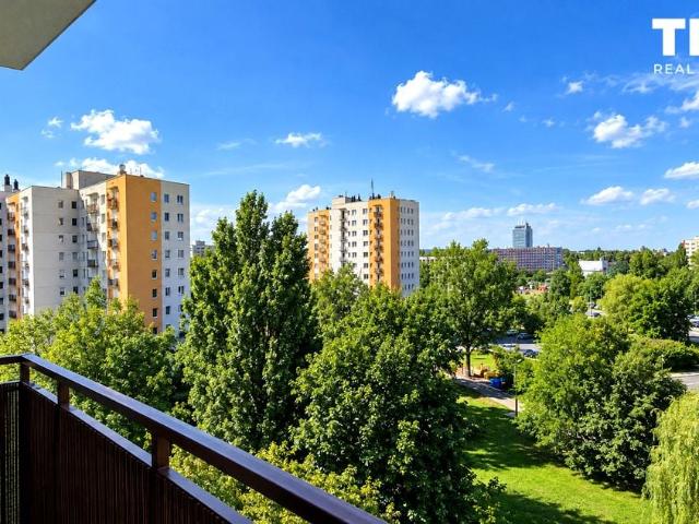 Mieszkanie do wynajęcia w Katowice, Śląskie