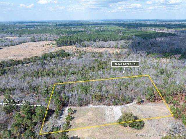 Land for sale in Manning, South Carolina