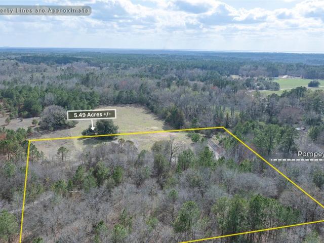 Land for sale in Manning, South Carolina