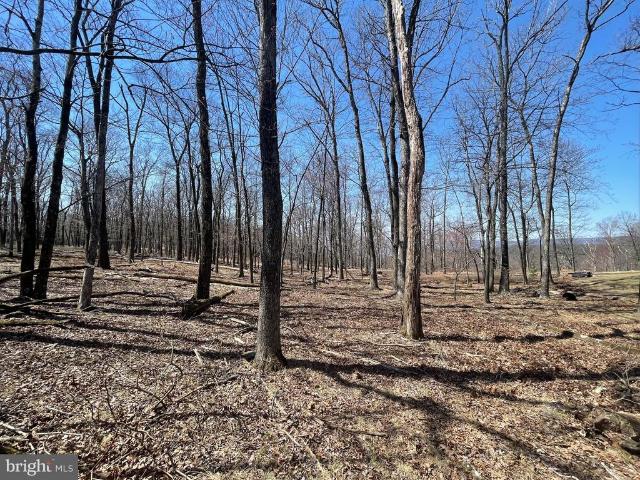 Land for sale in Zion Grove, Pennsylvania