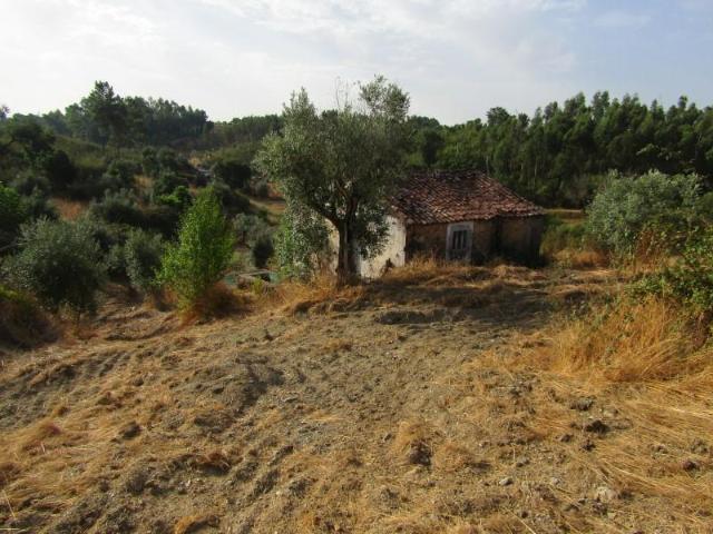 Casa venda em Abrantes, Santarém