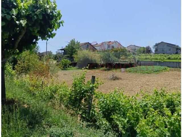 Casa venda em Arganil