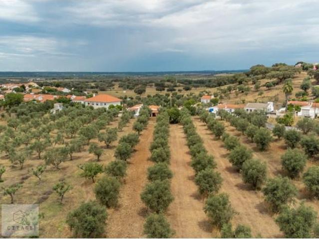 Terreno venda em Avis, Portalegre