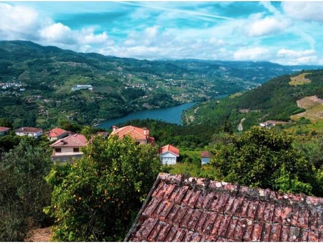 Terreno venda em Santa Leocádia, Baião