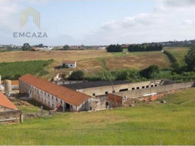 Terreno venda em Cadaval