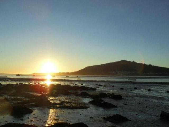 Apartamento alugar em Caminha (Matriz) e Vilarelho, Arga De Baixo