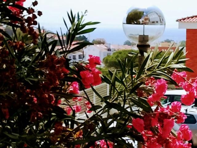 Apartamento alugar em Cascais, Lisboa