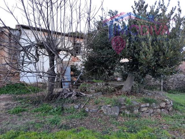 Casa venda em Castanheira De Pêra, Leiria