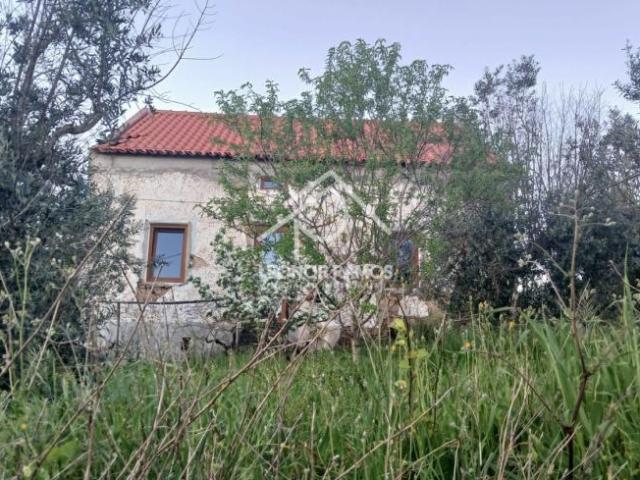 Casa venda em Castelo Branco, Proença-a-nova