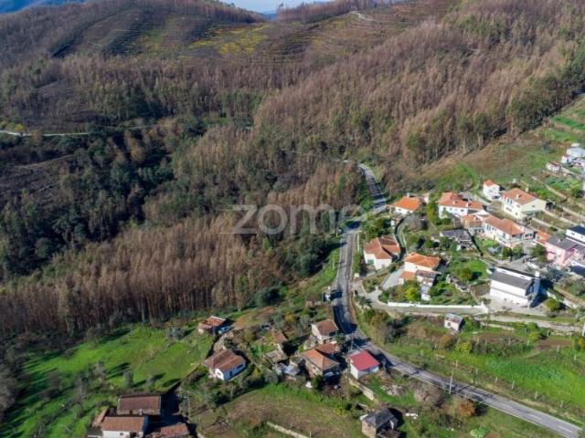 Casa venda em Cinfães, Viseu