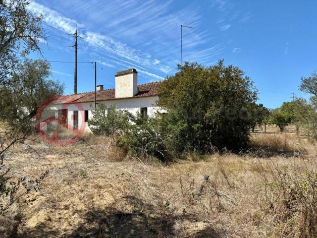 Terreno venda em Coruche, Santarém