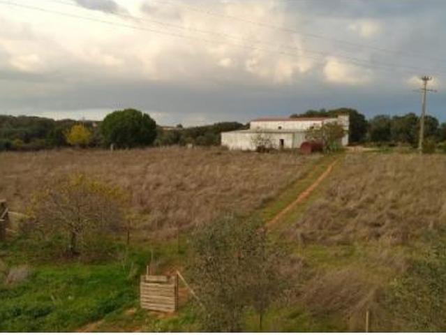 Terreno venda em Estremoz, Mártires