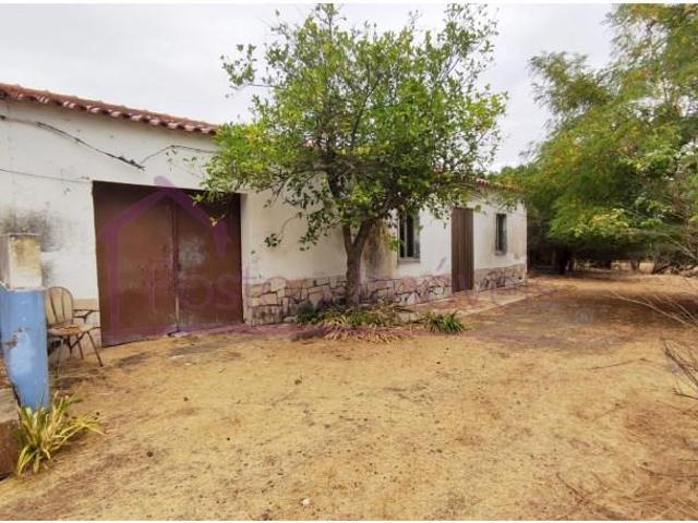 Terreno venda em Estremoz, Évora