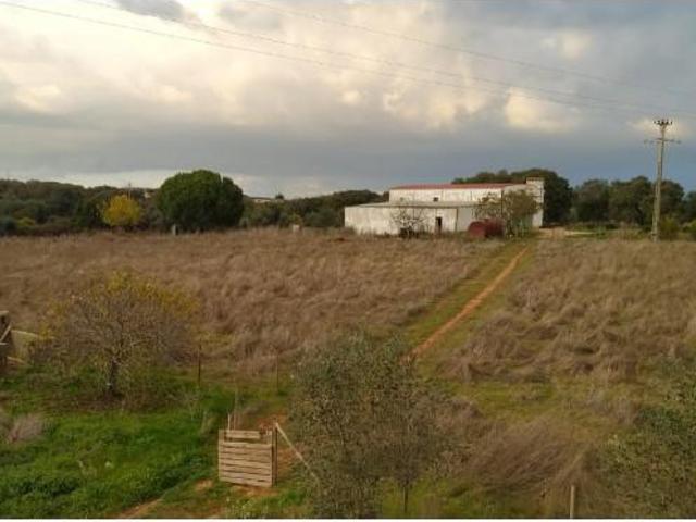 Terreno venda em Estremoz, Évora