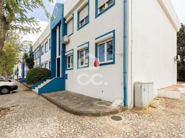 Apartamento venda em Évora