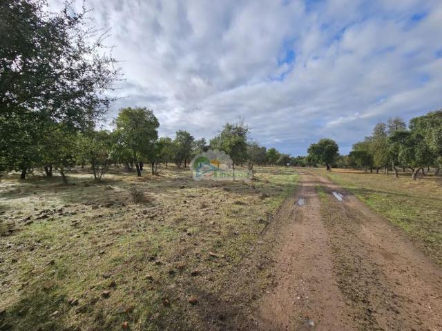 Casa venda em Mourã, Beja