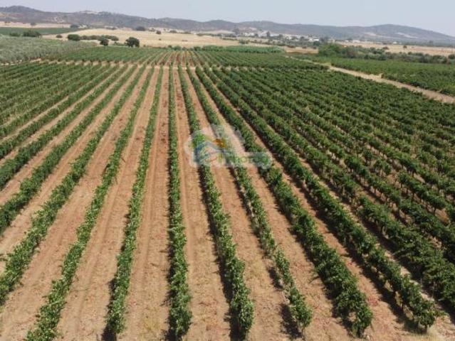 Casa venda em Reguengos De Monsaraz, Évora