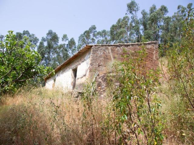 Casa venda em Monchique, Faro