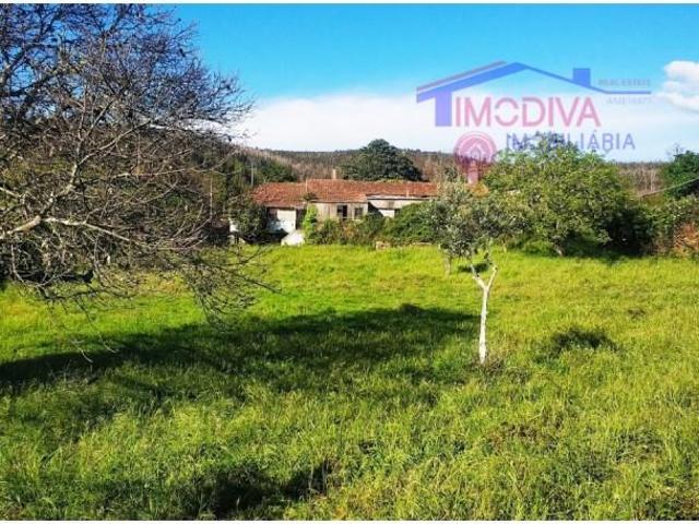 Casa venda em Figueiró Dos Vinhos, Leiria