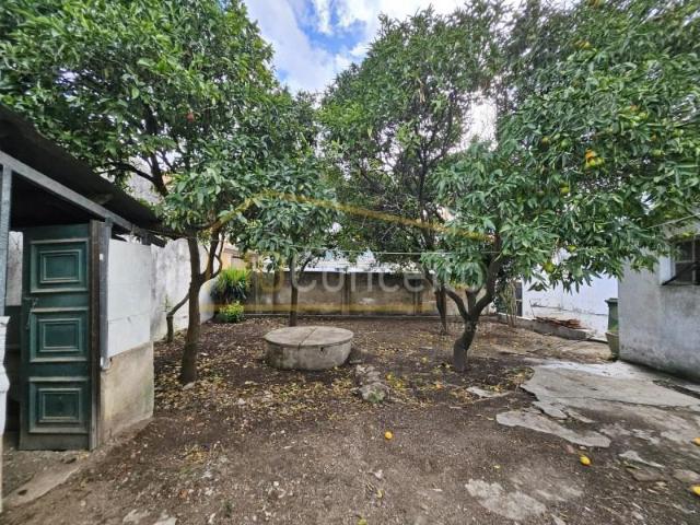 Casa venda em Golegã