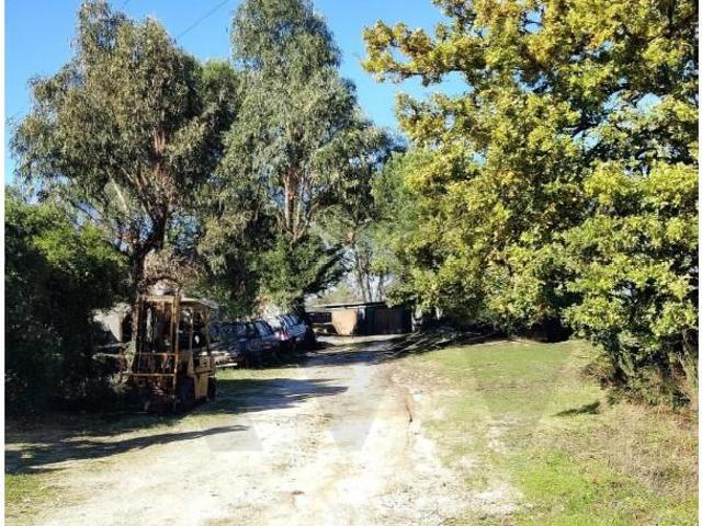 Terreno venda em Guarda, São Julião