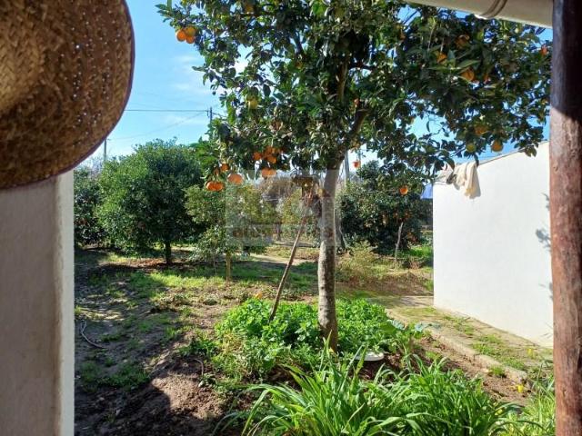 Terreno venda em Grândola, Setúbal