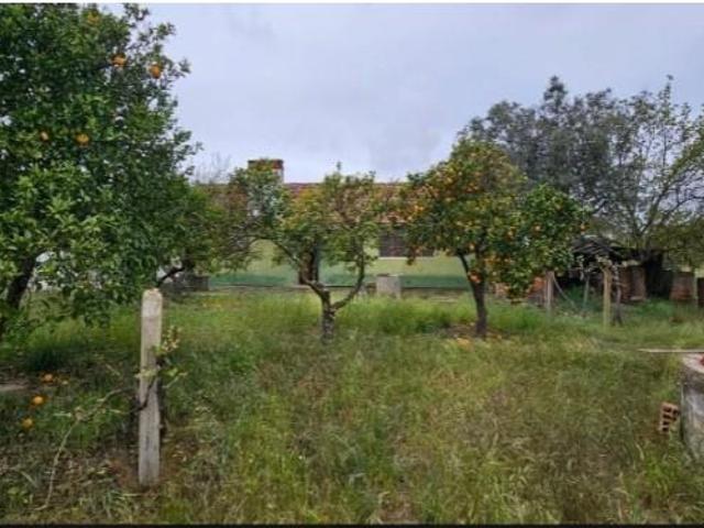 Terreno venda em Grândola e Santa Margarida da Serra, Grândola