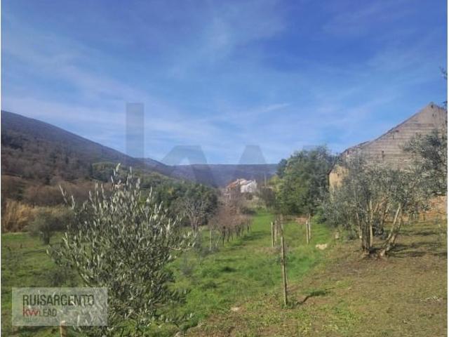 Casa venda em Guarda