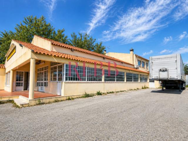 Casa venda em Sancheira Pequena, Óbidos