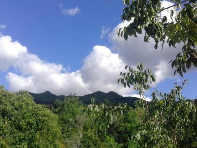 Casa alugar em Folhada, Várzea Ovelha E Aliviada