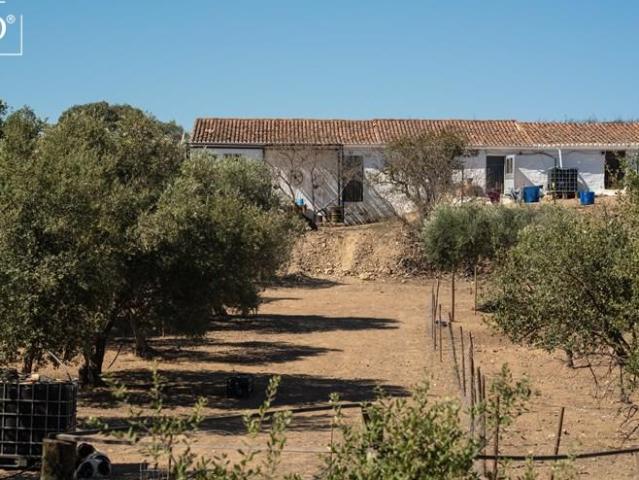 Casa venda em Beja