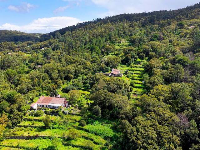Terreno venda em Monchique, Faro
