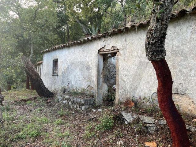 Terreno venda em Monchique, Faro