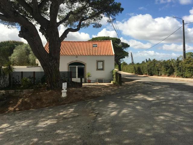 Casa alugar em Óbidos, Santa Maria Madalena