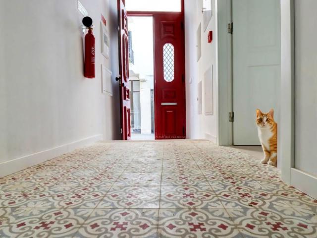 Casa venda em Olhão, Faro