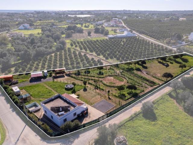Terreno venda em Olhão, Faro