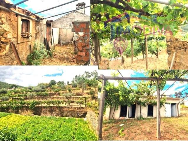 Terreno venda em Pedrógão Grande, Leiria