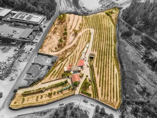 Terreno venda em Várzea do Douro, Várzea