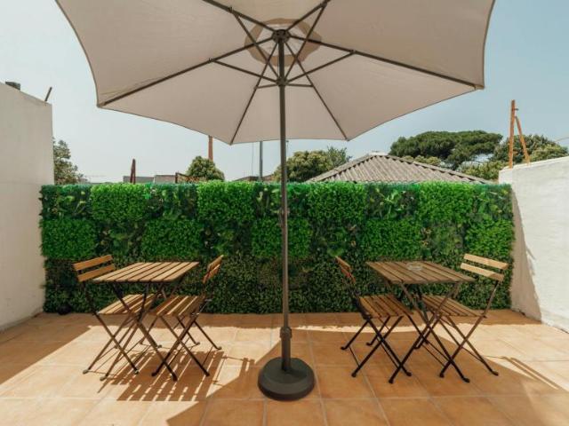 Apartamento alugar em Porto, Cedofeita
