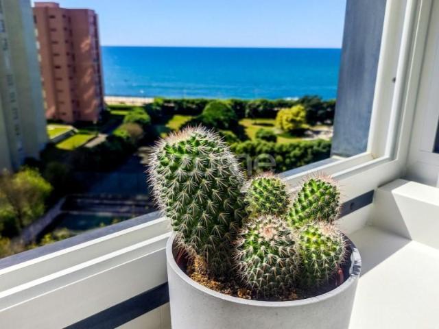 Apartamento venda em Póvoa de Varzim