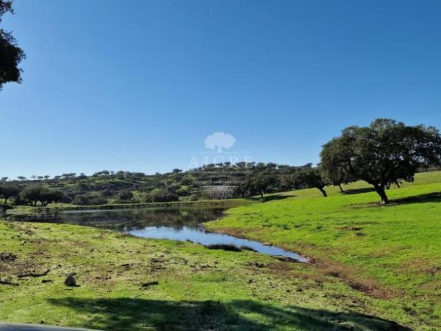 Terreno venda em Reguengos De Monsaraz, Évora