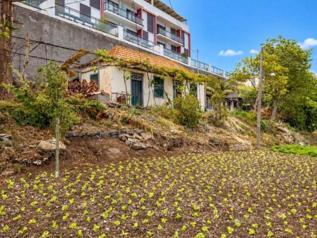 Casa venda em Santa Cruz