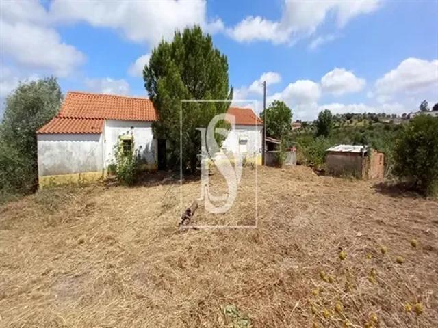 Terreno venda em Santarém